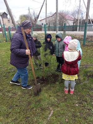 Старшая группа "Родничок" Педагог Замышляева Г.С.